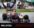 Sebastian Vettel Grand Prix Malezya 2013 yılında zaferi kutluyor